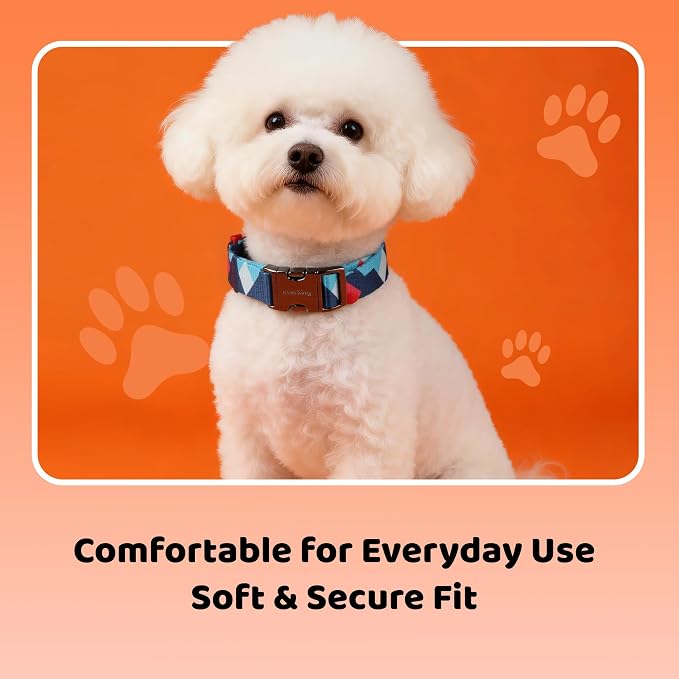 EVERKING Dog Collar & Leash Set for Everyday Walking | Matching adjustable collar and leash set with reflective handle and heavy-duty hardware for comfortable everyday dog walks.