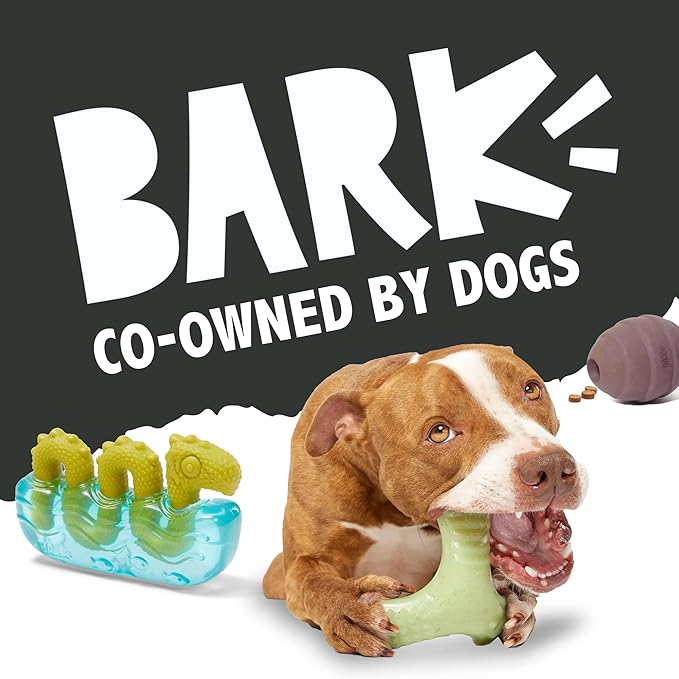 Barkbox Tug Measure Durable Dog Toy, Perfect for Strong Chewers and Interactive Play - Large