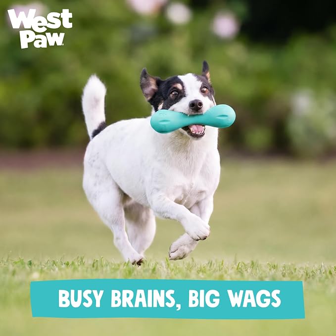 WEST PAW Zogoflex Hurley Dog Bone Chew Toy – Floatable Pet Toys for Aggressive Chewers, Catch, Fetch – Bright-Colored Bones for Dogs – Recyclable, Dishwasher-Safe, Non-Toxic, Large, Geranium