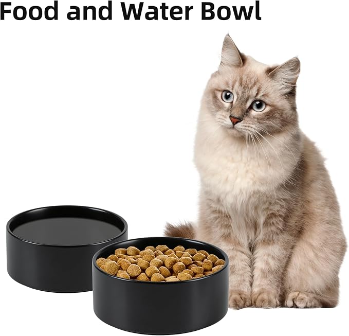 Havniva 5.1” Ceramic Dog Bowls, Small Dog Food and Water Bowl Set of 2, Durable Dog Water Bowl with Non-Slip Rubber Base Large Capacity Pet Feeding Bowl for Small Dogs