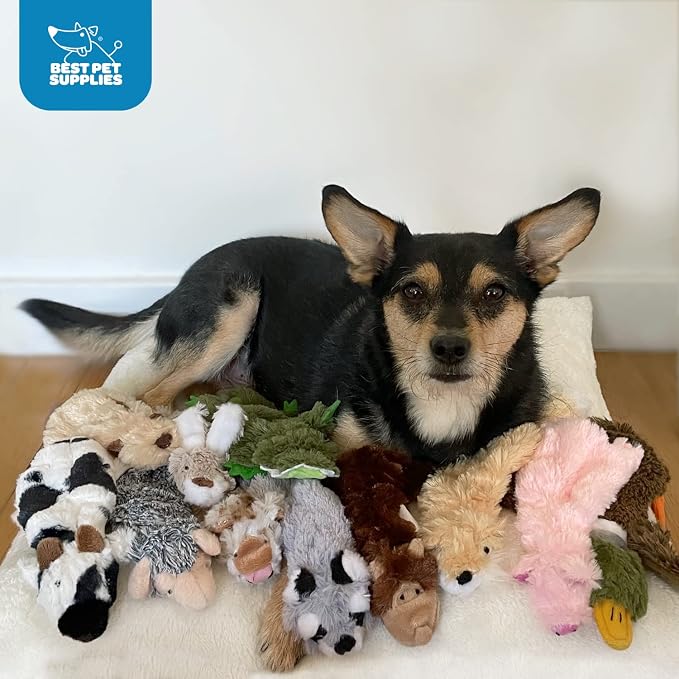 Best Pet Supplies Squeaky Dog Toys with Soft Durable Fabric for Small, Medium and Large Pets Interactive Toy for Indoor Play, Supports Active Biting and Play - Fox, Raccoon, Small