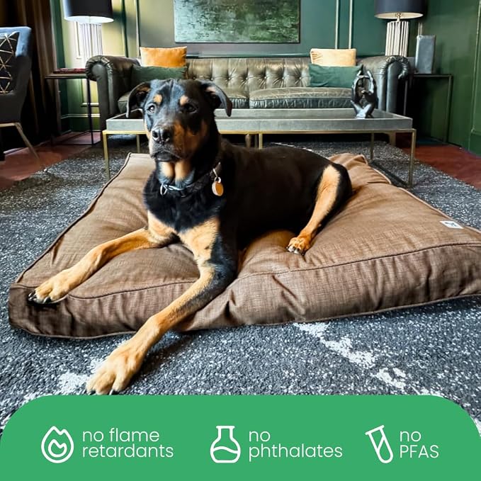 Molly Mutt Woodstock Dog Bed Duvet Cover, GOTS-Certified 100% Organic Cotton Canvas Cover for Dog, Puppy, or Cat Bed, Durable, Washable, and Free of Harmful Chemicals, Medium/Large, 27"x36"x5"