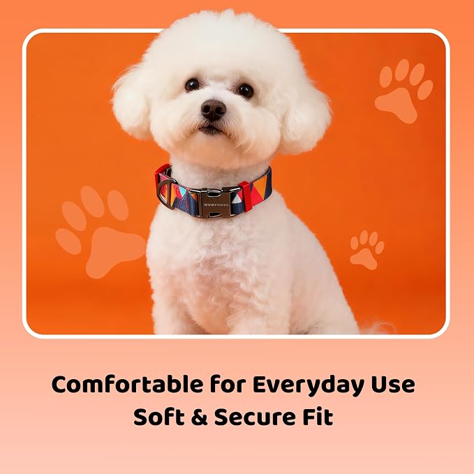EVERKING Dog Collar & Leash Set for Everyday Walking | Matching adjustable collar and leash set with reflective handle and heavy-duty hardware for comfortable everyday dog walks.