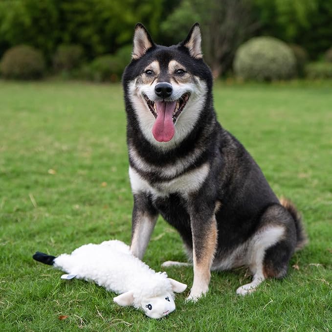 Best Pet Supplies Squeaky Dog Toys with Soft Durable Fabric for Small, Medium and Large Pets Interactive Toy for Indoor Play, Supports Active Biting and Play - Sheep, Large