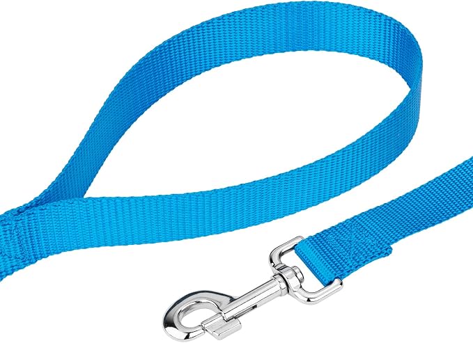 Country Brook Petz - Everyday Nylon Dog Collar and Leash - 10+ Cool Colors (1 Inch, Large, Ice Blue)
