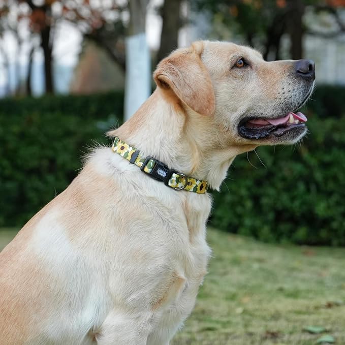 Dog Collar Leash Set, Floral Pattern, 5ft Matching Leash, Polyester Material, 4 for Small Medium Large Dogs.(XS, Sunflower)
