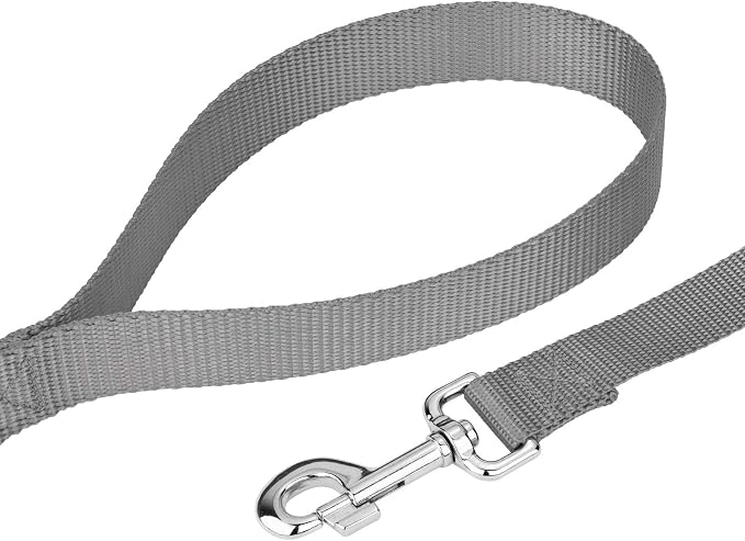 Country Brook Petz - Everyday Nylon Dog Collar and Leash - 10+ Cool Colors (3/8 Inch, 3XS, Silver)