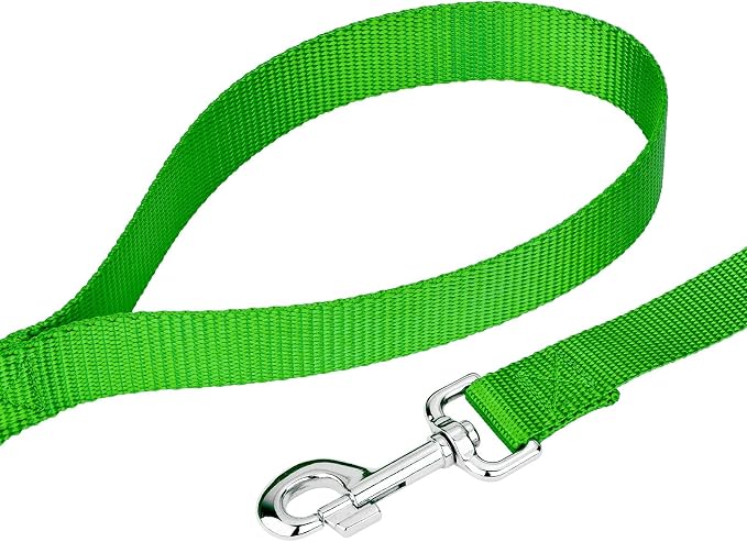 Country Brook Petz - Everyday Nylon Dog Collar and Leash - 10+ Cool Colors (3/4 Inch, Small, Hot Lime Green)