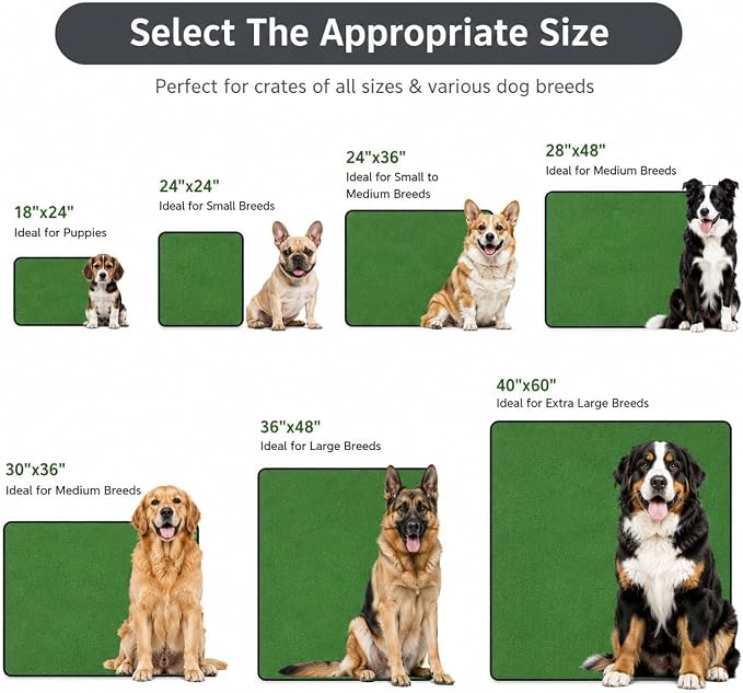 2 Pack Washable Pee Pads for Dogs 24"x36", Reusable Training Puppypads Absorbency Non-Slip & Leak-Proof for Pet Whelping Box Playpen Crate Sofa Bed Floors (Green)