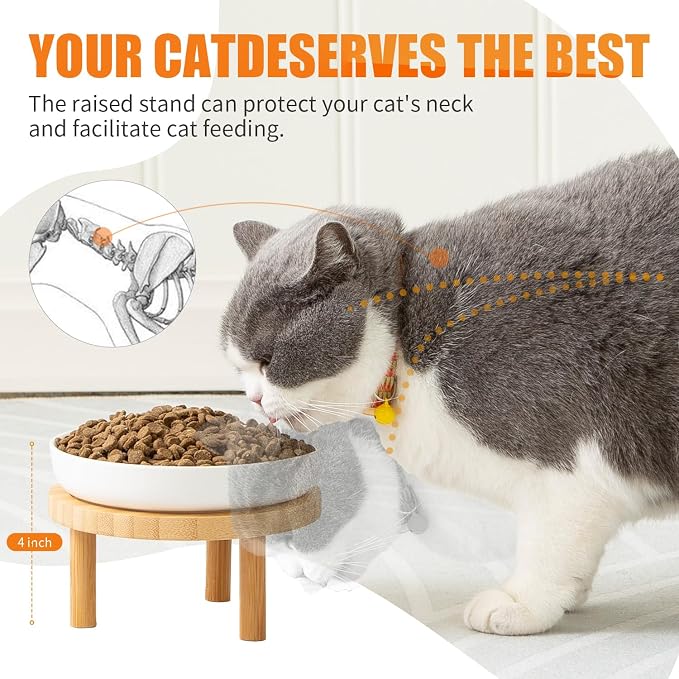 Lusifaco Shallow Elevated Cat Bowls,5.9 Inch Wide Raised Ceramic Cat Dishes with Bamboo Stand, Whisker Friendly Pet Water or Food Plates Feeding Station for Indoor Cats, Kitten(Grey,Set of 2)