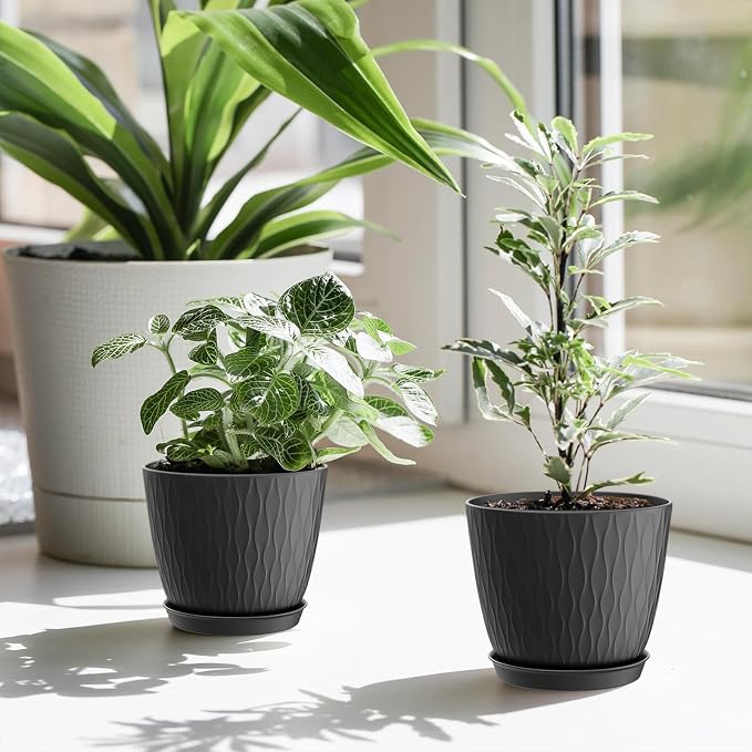 WSMKSZ 6 inch Plant Pots, 5 Pack Flower Pots with Drainage Holes and Saucers for Indoor Plants, Plastic Planters with Water Ripple for Small Garden House Plants, Nursery Pots for Succulent, Black