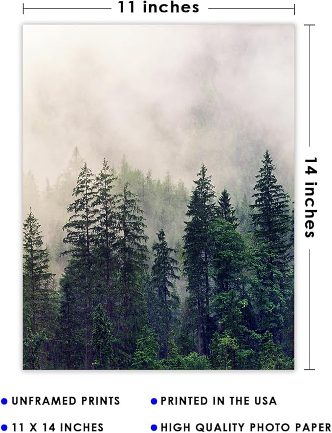 Buzz Unplugged Foggy Forest Abstract Wall Art: Minimalist, Aesthetic & Boho Wall Art for Home, Office, Bedroom & Living Room Decor - Unframed Posters 11x14