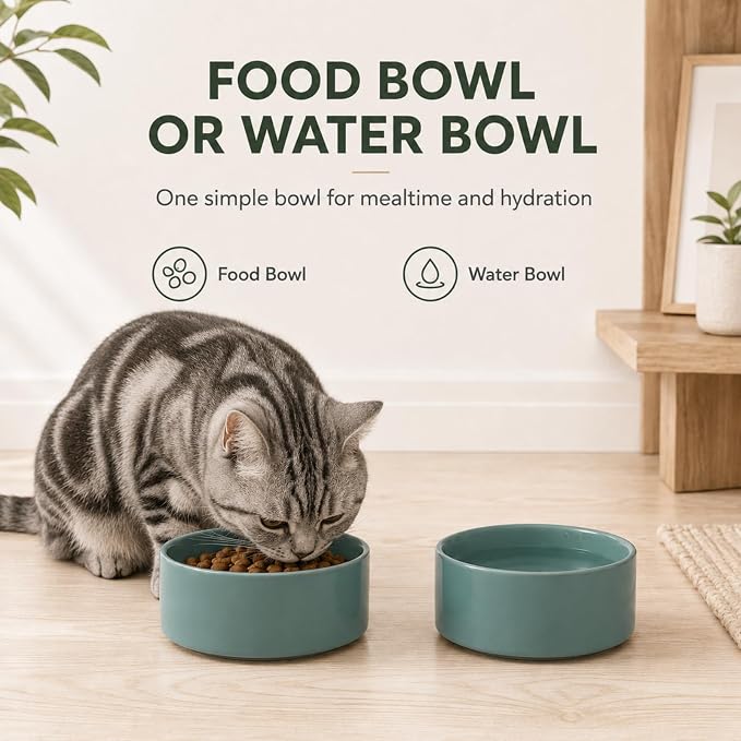 Havniva Cat Bowls Water Bowl Set of Two, 5.1” Ceramic Cat Food and Water Bowl Whisker Friendly Pet Food Bowls for Indoor Cats, Wide Cat Water Dish Prevent Whisker Fatigue Non Slip Cat Feeder