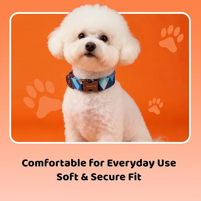 EVERKING Dog Collar & Leash Set for Everyday Walking | Matching adjustable collar and leash set with reflective handle and heavy-duty hardware for comfortable everyday dog walks.