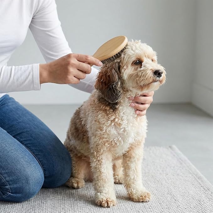 Bristle Dog Brush for Short Haired, Gentle Deshedding & Grooming Tool, Ideal Pet Hair Brush Puppy Essentials for Grooming and Shedding, Short Hair Dog Brushes