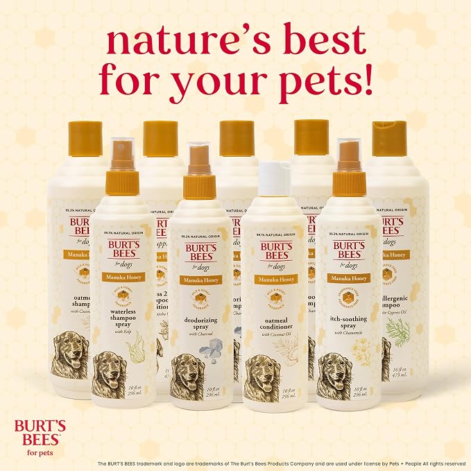 BURT'S BEES FOR PETS Deodorizing Spray for Dogs, Manuka Honey & Charcoal, Reduces Odor Between Baths, 95%+ Natural Origin, No Artificial Fragrance, Sulfates or Colorants, Milk & Honey Scent, 10 Fl Oz
