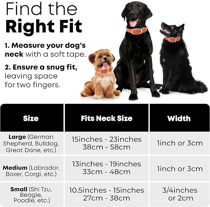Regal Dog Products Small Orange Dog Collar with Heavy Duty Double Buckle & D Ring | Vinyl Coated, Custom Fit, Adjustable Biothane Dog Collar | Chew Resistant Waterproof Collar for Dogs