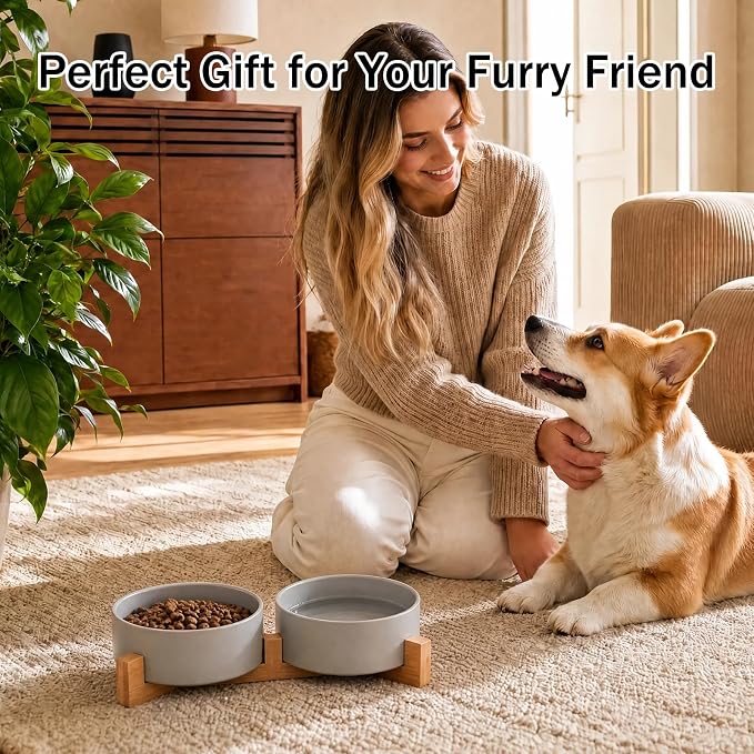 MateeyLife Ceramic Dog and Cat Bowls with Stand, 2-Pack Food and Water Bowl Set - Non-Slip Pet Bowls for Cats,Puppies and Small Dogs, 13.5OZ(Grey)