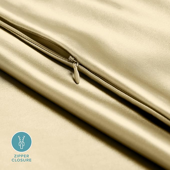 Bare Home 100% Mulberry Silk Pillowcase for Hair and Skin - Ultra Premium 6A Grade 19 Momme Silk Pillow Case - Hidden Zipper - Breathable Cooling Pillow Cover (Queen, Champagne)