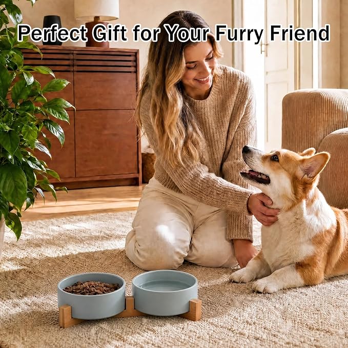 MateeyLife Ceramic Dog and Cat Bowls with Stand, 2-Pack Food and Water Bowl Set - Non-Slip Pet Bowls for Small & Medium Size Dogs,28.7OZ(Green)