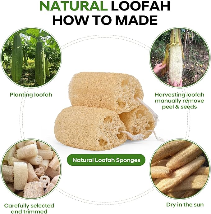 Natural Loofah Sponge 4 Pack, Organic Luffa Sponges Body Scrubber, Exfoliating Loofah Scrubber for Shower, Eco-Friendly Biodegradable Bath Loofahs for Men & Women
