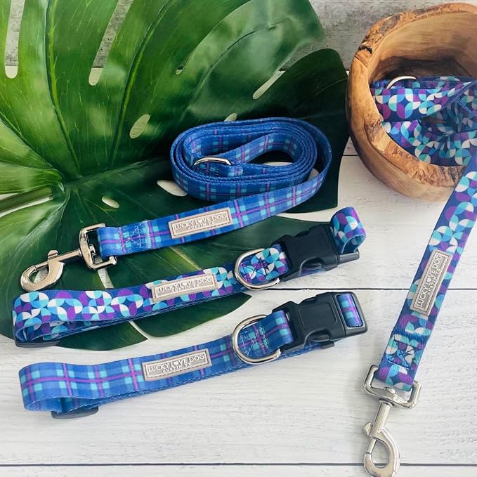 Lucky Love Dog - Adjustable Dog Collar and Leash Set with Easy Click Buckle for Large Dogs, Durable, & Comfortable Collar for Male & Female Dogs, Puppies & Adult Ones - Jasper Combo, Large
