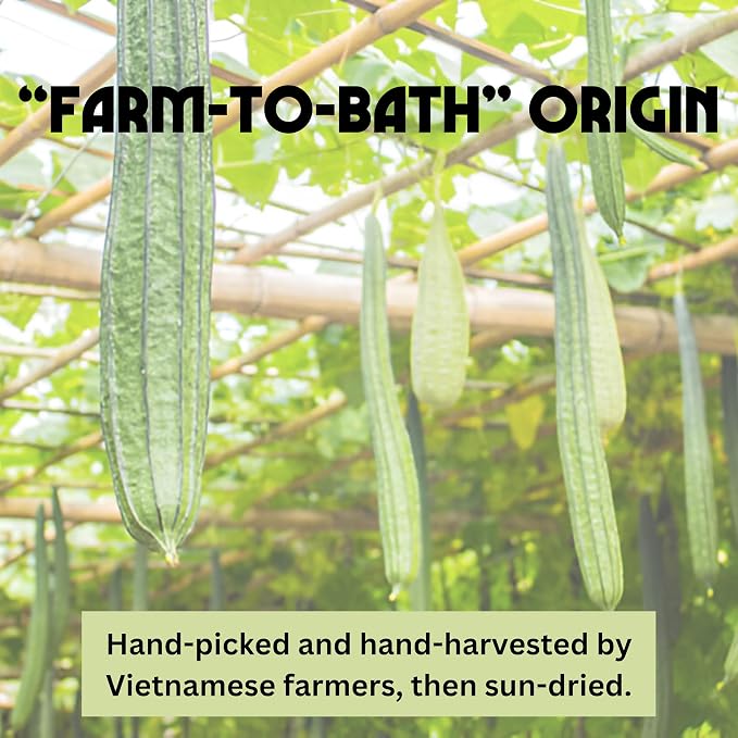 Birdee 100% Plant-Based Loofah Body Wash Sponge - Natural Luffa for Exfoliating and Radiant Skin, Hand-crafted in Vietnam, Pack of 4