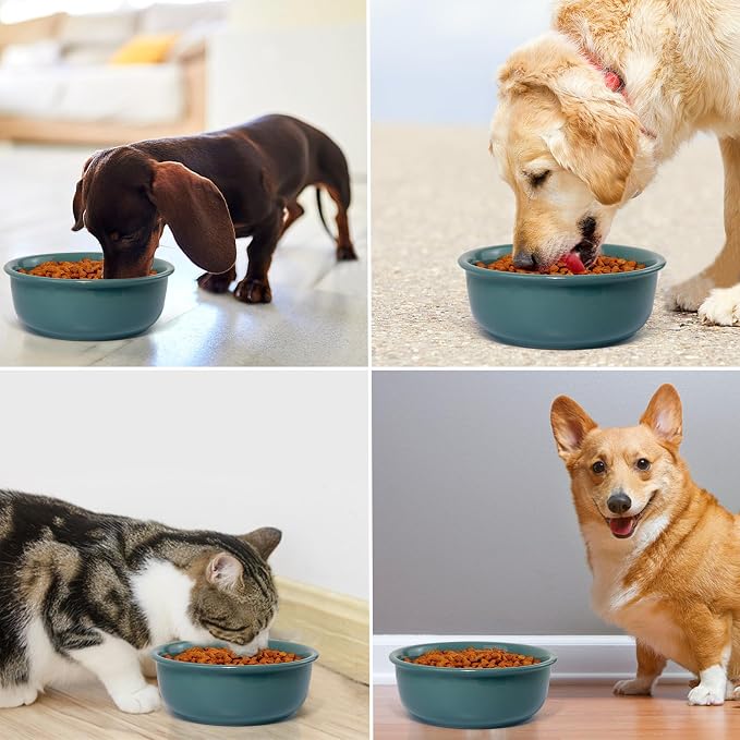 Wordcam 28oz Ceramic Dog Bowls, Durable Modern Pet Food and Water Bowls for Small Medium Dogs and Cats, Replacement Bowls for Wordcam SS03 Model (Dark Green)