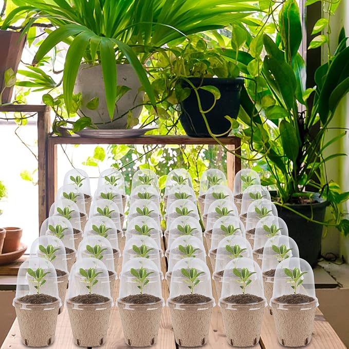winemana 36 Set Plant Nursery Pots with Humidity Dome, Seed Starter Biodegradable Peat Pots, Seedlings Planting Pots with Labels for Indoor Outdoor Garden