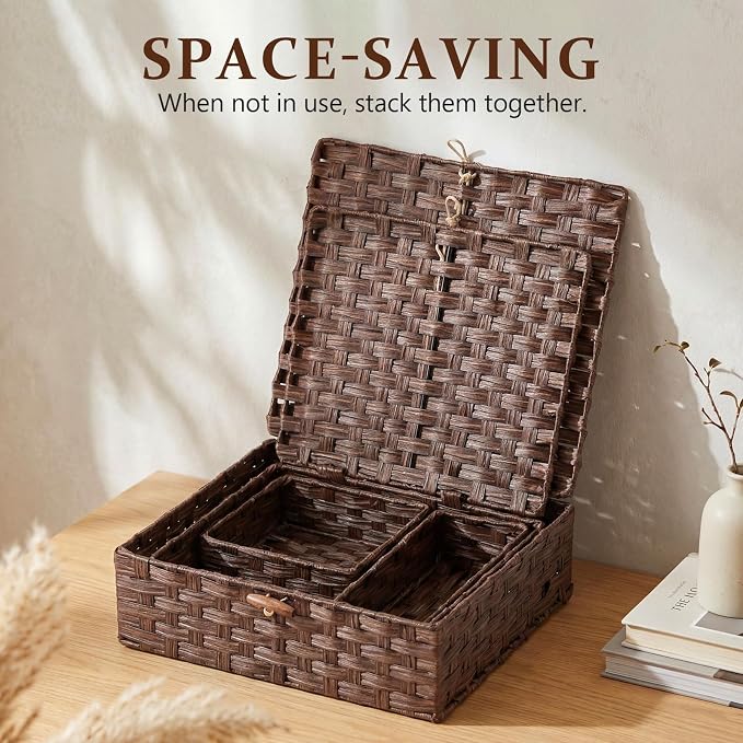 Newtay Set of 4 Woven Wicker Storage Baskets with Lids, Decorative Storage Boxes Lidded Rattan Organizer Bin Home Decor for Shelf, Coffee Table, Closet, Bathroom, Living Room(Plastic,Brown)