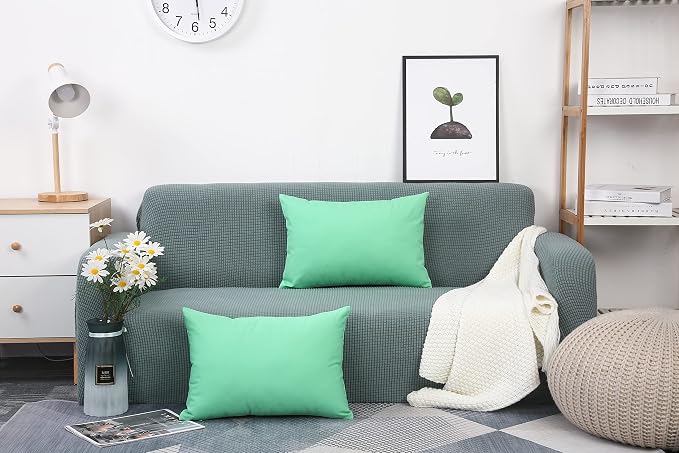 TangDepot Handmade Decorative Solid 100% Cotton Canvas Throw Pillow Covers/Cushion Covers, 45 Colors Available - (12" x 20" , Mint Green, 1 Count (Pack of 1)) | 100% cotton, same-color zip, machine wash & air dry. For living room, bedroom, office, car....