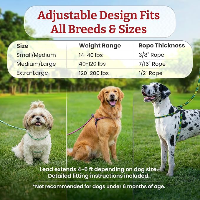 Harness Lead No Pull Dog Harness and Leash Set, Anti Pull Dog Harness, One-Piece Cushioned Rope Safely Prevents Escaping and Pulling (Extra Large,Orange/Reflective)