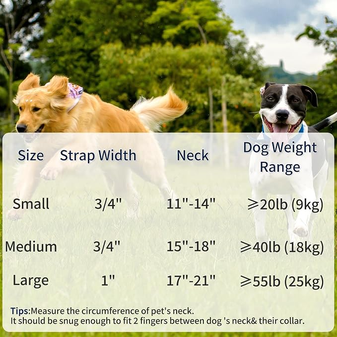 Mile High Life Genuine Leather Dog Collar, Heavy Duty Canvas Collar with Adjustable Metal Pin Buckle for Small Medium Large Dogs (Navy Blue, M Neck 15"-18")
