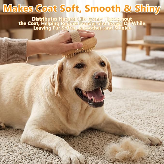 Soft Boar Bristle Pet Palm Brush for Short Haired Dogs Cats, Reduce Shedding, Ergonomic Easy-Hold Design, Reduces Wrist Stress for Daily Grooming
