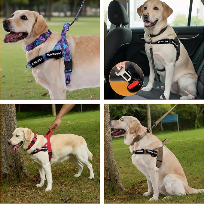 Annchwool No Pull Dog Harness,Heavy Duty Reflective Collar & Leash Set-Leash with Double Handle & Car Seatbelt Clip-Easy Control for Walking Training Medium Large Size Dogs(Red,L)