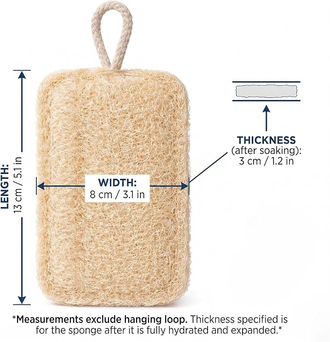 Natural Loofah Sponge for Men & Women, 2 Pack | Exfoliating Body Scrubber, Travel Loofah, Shower Sponge