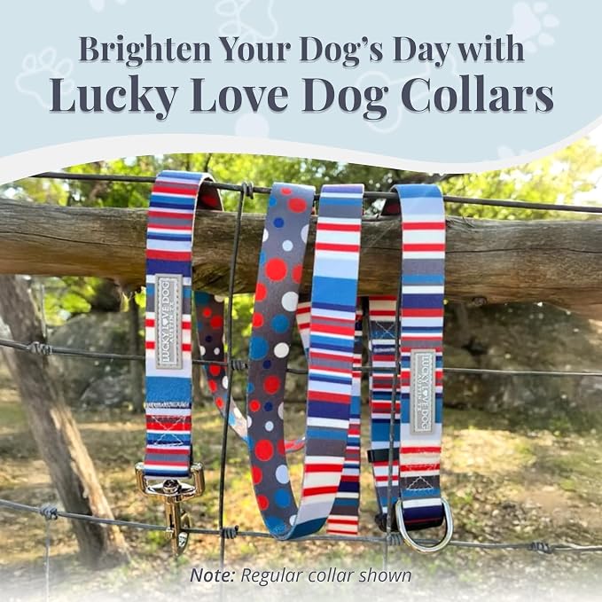 Lucky Love Dog Martingale Dog Collar & Leash - Adjustable, No-Slip, Durable, Comfortable, Soft Webbing, & Stylish Patterned Dog Collar & Leash Set for Male and Female Dogs - Linus Combo, Medium