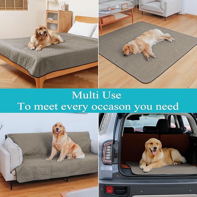 Bunlitent Washable Pee Pads for Dogs 72" x 72", 2 Pack, Reusable Puppy Pads, Dog Training Pads with Quick Dry, Large Anti-Slip Whelping Pad for Pet, Playpen, Incontinence, Housebreaking