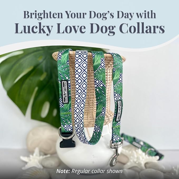 Lucky Love Dog Martingale Collar, Premium No Slip Martingale Collar for Medium Boy Dogs, Great for Whippets, Greyhounds, and More (Medium, Blue Laguna)
