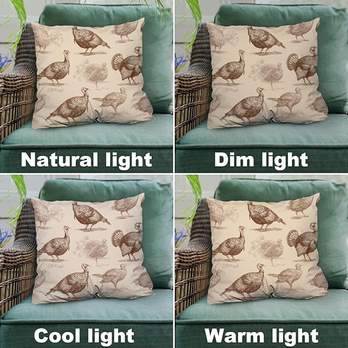 Shrahala Wild Turkeys Decorative Throw Pillow Cover, Vintage Turkey Illustration Square Pillowcase Blended Double-Sided No Inserts for Bedroom Living Room Set of 2 (16 x 16 in)