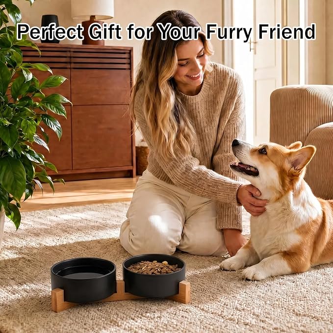 MateeyLife Ceramic Dog and Cat Bowls with Stand, 2-Pack Food and Water Bowl Set - Non-Slip Pet Bowls for Cats,Puppies and Small Dogs, 13.5OZ(Black)