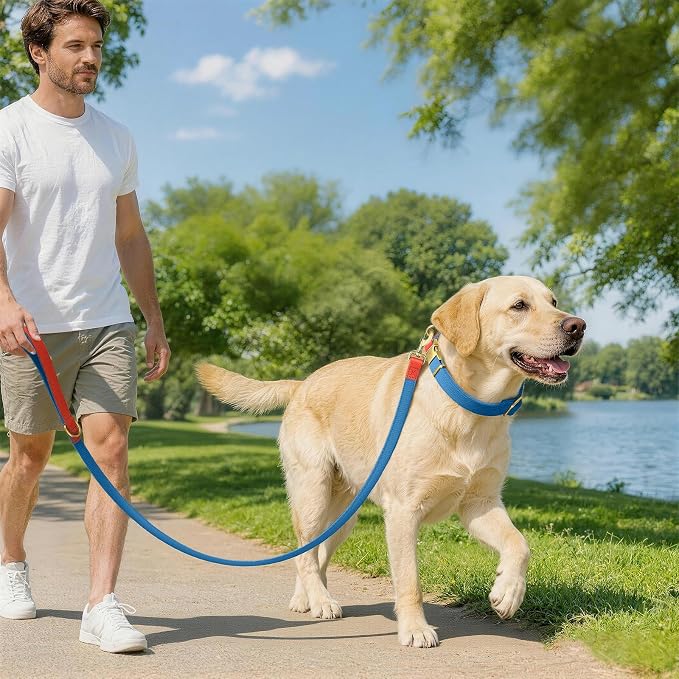 Dog Collar and Leash Set with Metal Quick Release Buckle, Adjustable, Breathable Nylon, Durable, Soft and Comfortable, No Pull for Walking and Training, Blue, L (14.9"-22.8")