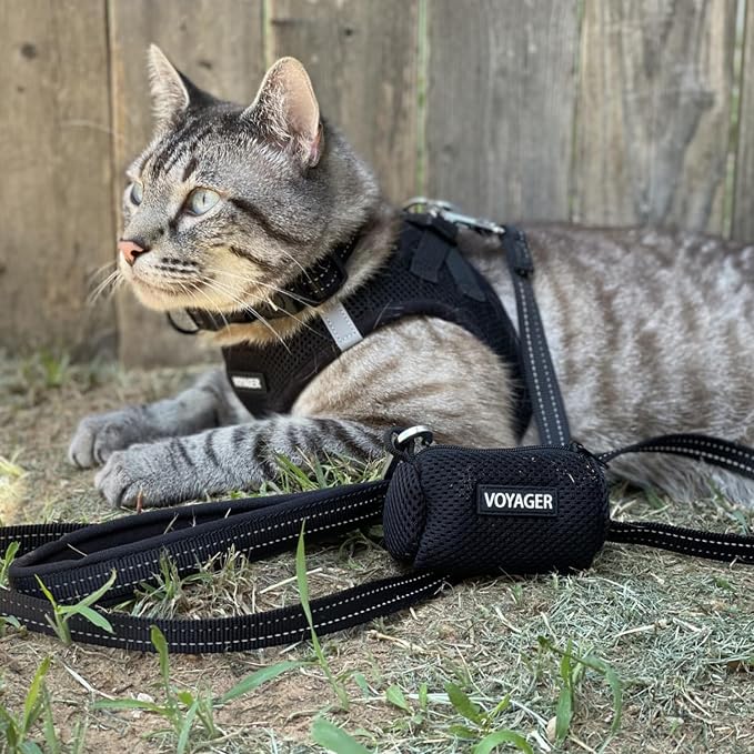 Best Pet Supplies Voyager Step-in Air All Weather Mesh Harness and Reflective Dog 5ft Leash Combo with Neoprene Handle, for Small, Medium and Large Breed Puppies - Black, Large