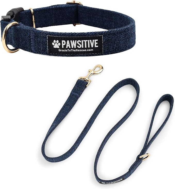 Pawsitive Wool Dog Collar - Hypoallergenic Dog Collar, Great Dog Collar for Sensitive Skin, Soft Collar for Dogs, Soft Organic Dog Collar Eco-Friendly (Large, Blue and Leash)