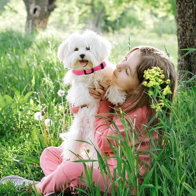 Rose Pink Dog Collar for Medium Size Dog, Breathable, Anti-Odor & Soft, Comfortable for Sensitive Skin Puppies, 90% Bamboo Rayon, Adjustable Quick-Release Buckle Pet Collar for Medium Breeds