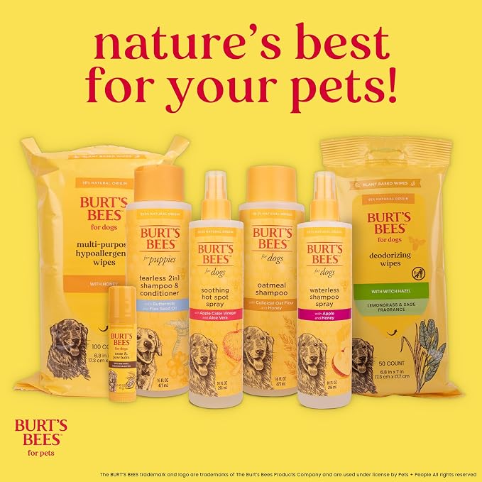 BURT'S BEES FOR PETS Itch Soothing Shampoo with Honeysuckle, 6pk, 95% Natural Origin Formulas, Dog Shampoo for Itchy Dogs, Dog Shampoo Itchy Skin Relief, 6pk, 16 oz