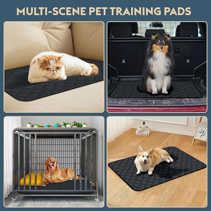 FunFurry Washable Pee Pads for Dogs - 1 Pack Reusable Pee Pads,Waterproof Puppy Pads,Pet Training Pads,Super Absorbent with Dog Paw Shape Non-Slip Backing (Dark Grey, 72" X 72" - 1 Pack)