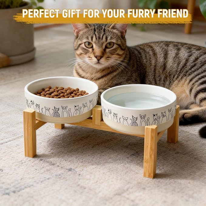 Ceramic Cat Bowls,6.1inch Raised Cat Bowls with Cute Pattern for Small and Medium Breed Dogs,2 Pack Cats Food and Water Bowl Set,Weighted Pet Dishes Dishwasher Safe