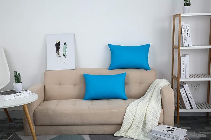 TangDepot Handmade Decorative Solid 100% Cotton Canvas Throw Pillow Covers/Pillow Shams, (12" x20" , Pacific Blue, 1 Count (Pack of 1)) | 100% cotton, same-color zip, machine wash & air dry. For living room, bedroom, office, car. 42 colors, 122 sizes. ...