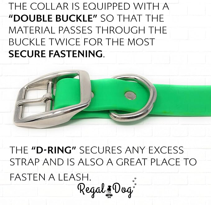 Regal Dog Products Large Light Green Waterproof Dog Collar and Leash Set | Heavy Duty Double Buckle & D Ring - 5'ft Leash | Adjustable Biothane Dog Collar | Chew Resistant Waterproof Collar for Dogs